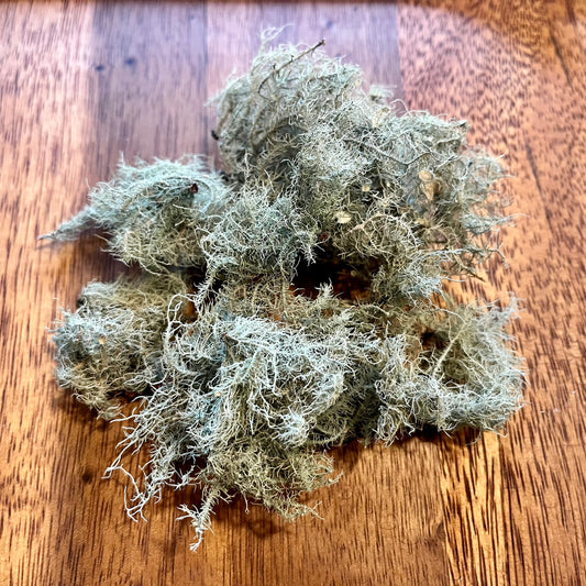Usnea